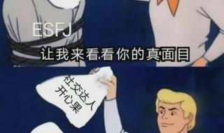 陶白白是什么意思