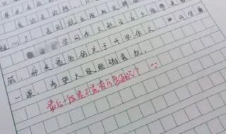 心愿作文500字